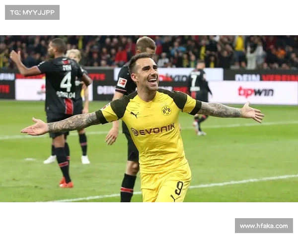 如何了解巴舒亚伊使用的语言及其多语种背景分析