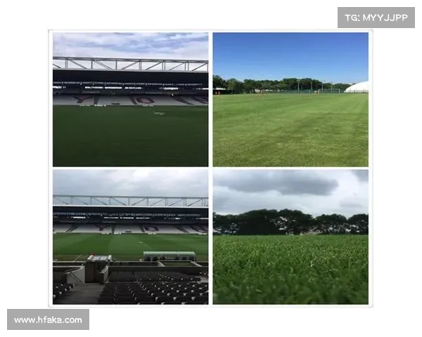 全面解析法甲冠军标志的多元类型与视觉演变发展趋势研究深度探讨